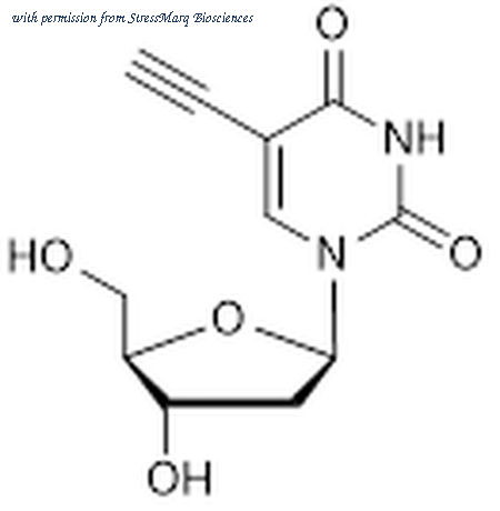 StressMarq Biosciences SIH-597 image 1