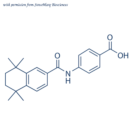 StressMarq Biosciences SIH-600 image 1