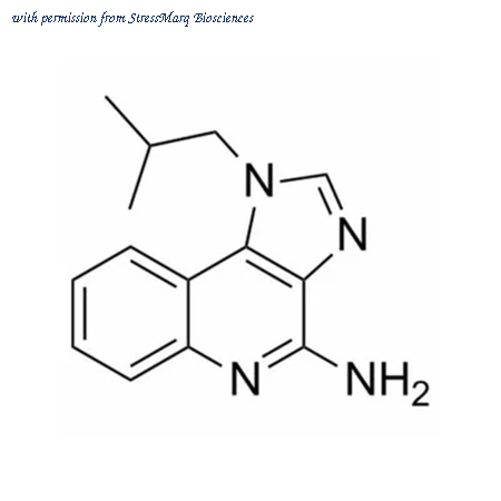 StressMarq Biosciences SIH-601 image 1