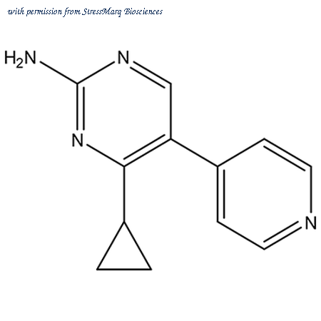 StressMarq Biosciences SPR-206 image 1