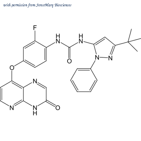 StressMarq Biosciences SPR-209 image 1