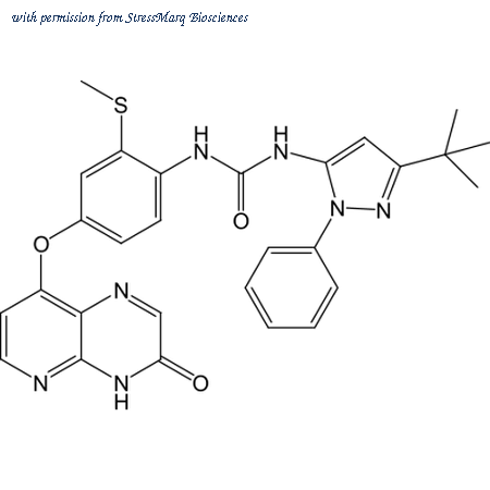 StressMarq Biosciences SPR-210 image 1
