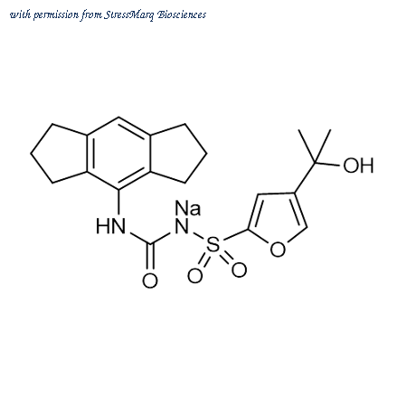 StressMarq Biosciences SIH-604 image 1