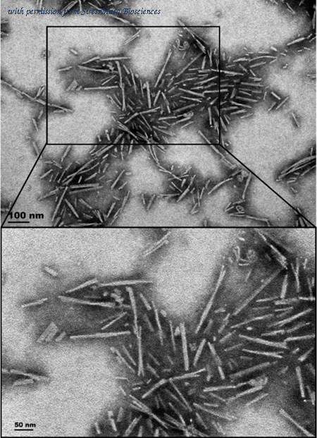 StressMarq Biosciences SPR-326 image 2