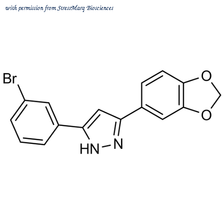 StressMarq Biosciences SIH-607 image 1