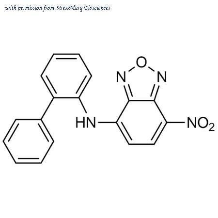 StressMarq Biosciences SIH-609 image 1