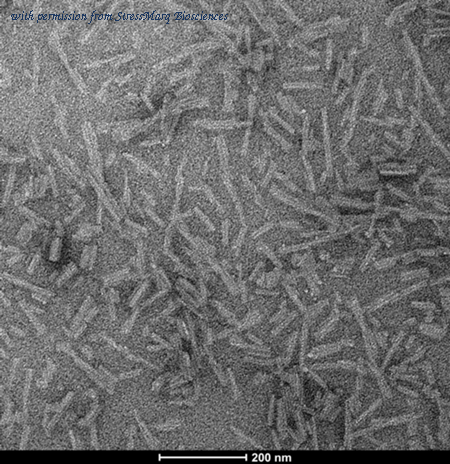 StressMarq Biosciences SPR-495 image 1