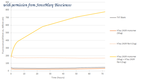 StressMarq Biosciences SPR-513 image 2