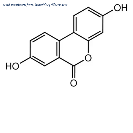 StressMarq Biosciences SIH-610 image 1