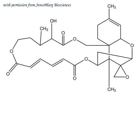 StressMarq Biosciences SIH-614 image 1