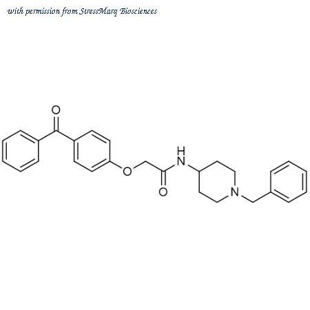 StressMarq Biosciences SIH-635 image 1