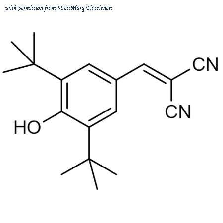 StressMarq Biosciences SIH-641 image 1