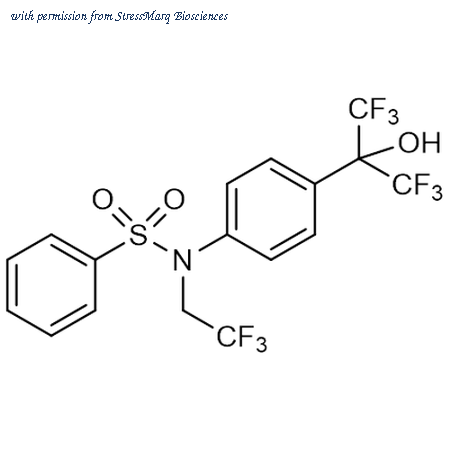 StressMarq Biosciences SIH-643 image 1