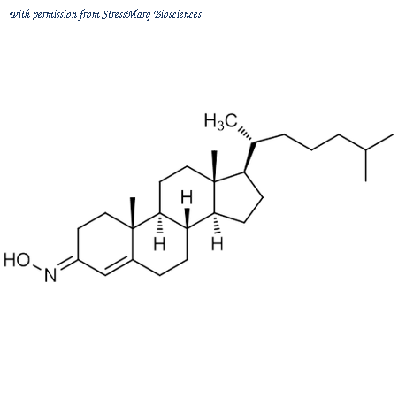 StressMarq Biosciences SIH-644 image 1