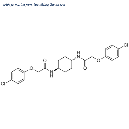 StressMarq Biosciences SIH-645 image 1