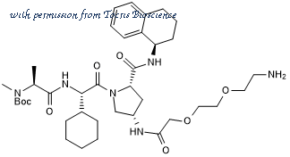 Tocris Bioscience 6473 image 1