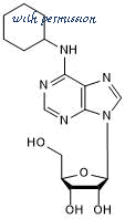 Tocris Bioscience 6863 image 1