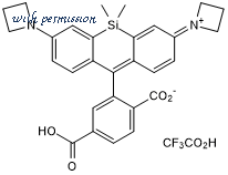 Tocris Bioscience 6993 image 1