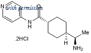 Tocris Bioscience TB1254-GMP/10 image 1