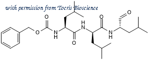 Tocris Bioscience 6033/10 image 1