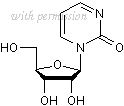 Tocris Bioscience 2293/10 image 1