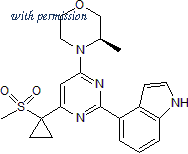 Tocris Bioscience 5198/10 image 1