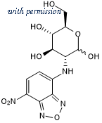 Tocris Bioscience 6065/5 image 1