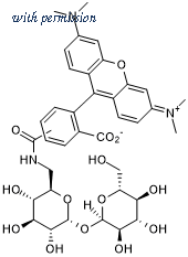 Tocris Bioscience 6802/2 image 1