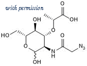 Tocris Bioscience 7506/2 image 1