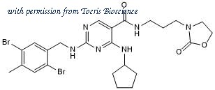 Tocris Bioscience 7572/10 image 1