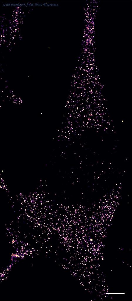 Tocris Bioscience 8157/200U image 1