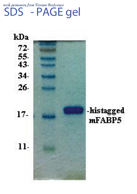 Toronto BioScience 42040 image 1