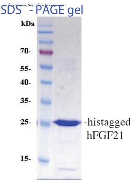 Toronto BioScience 41184 image 1