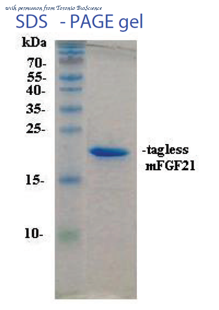 Toronto BioScience 42189 image 1
