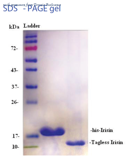 Toronto BioScience 41354 image 1