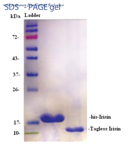 Toronto BioScience 41359 image 1