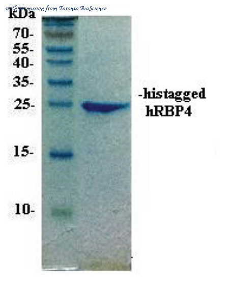 Toronto BioScience 41060 image 1