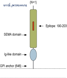 Alomone Labs ACC-008 image 3