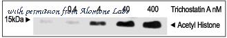 Alomone Labs APC-062 image 2