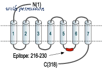 Alomone Labs AAR-004 image 3