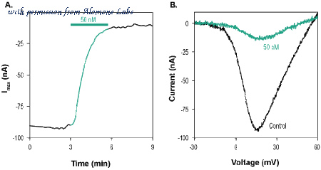 Alomone Labs ACC-083 image 3