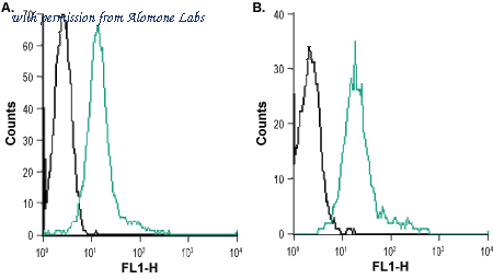 Alomone Labs ACR-037-AG image 1