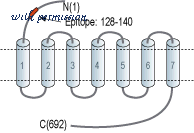 Alomone Labs AFR-010 image 2