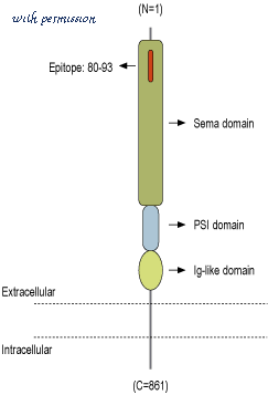 Alomone Labs AGA-010 image 3