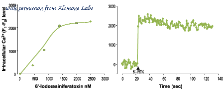 Alomone Labs AGC-022 image 3