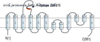 Alomone Labs AGC-024 image 2