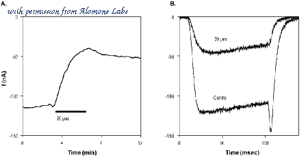 Alomone Labs AGC-037 image 3