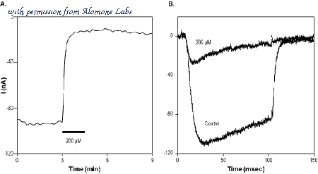 Alomone Labs AGR-015 image 3