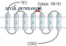 Alomone Labs ALR-001 image 2