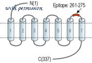 Alomone Labs ALR-003 image 2